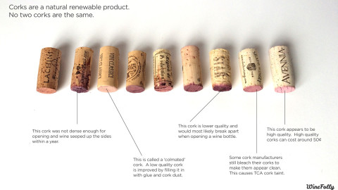 A Chemist Explains Why Corks Matter When Storing Wine