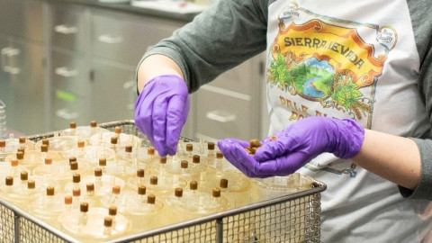 Sierra Nevada Is Helping Manufacture Materials for Coronavirus Testing